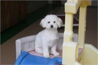 daycare pic 118 - strauss